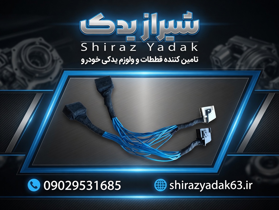 تبدیل کیلومتر دوگانه به تک سوز پژو